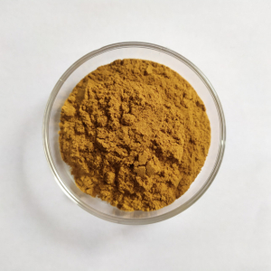 Extrait de fruit d'aubépine Flavone d'aubépine/ Flavonoïdes d'aubépine 10 % à 40 %